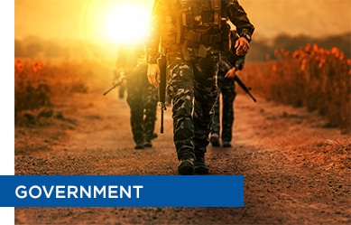 clients from the government industry